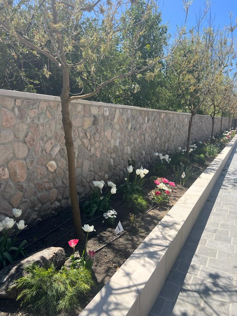 Mexican River Rock — garden wall with tulips and landscaping